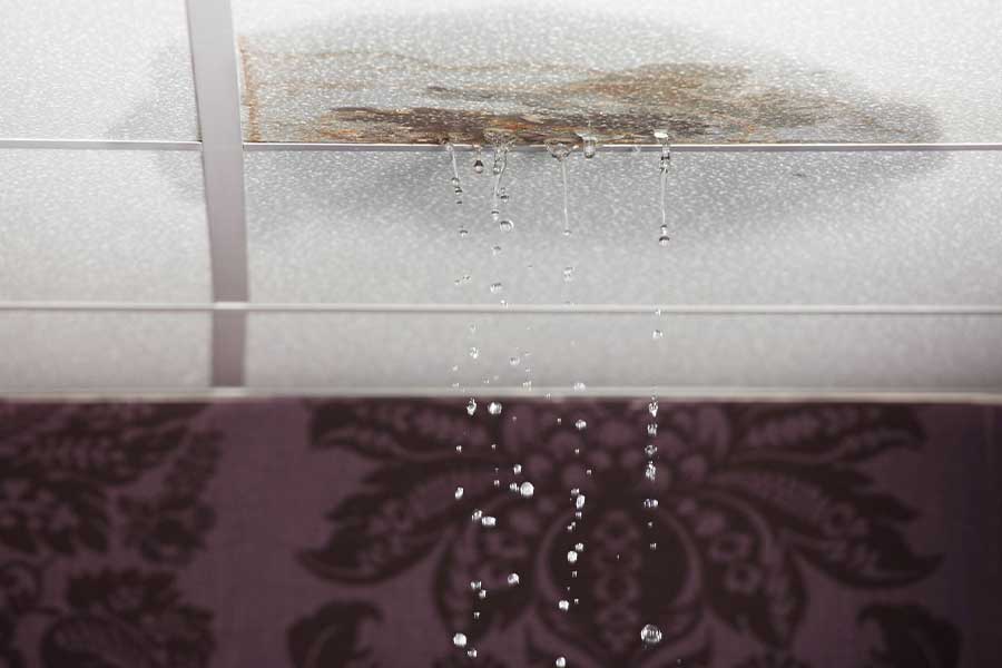 Professional Plumbing Services in Rancho Palos Verdes
